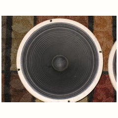 silver alnico