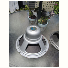 silver alnico